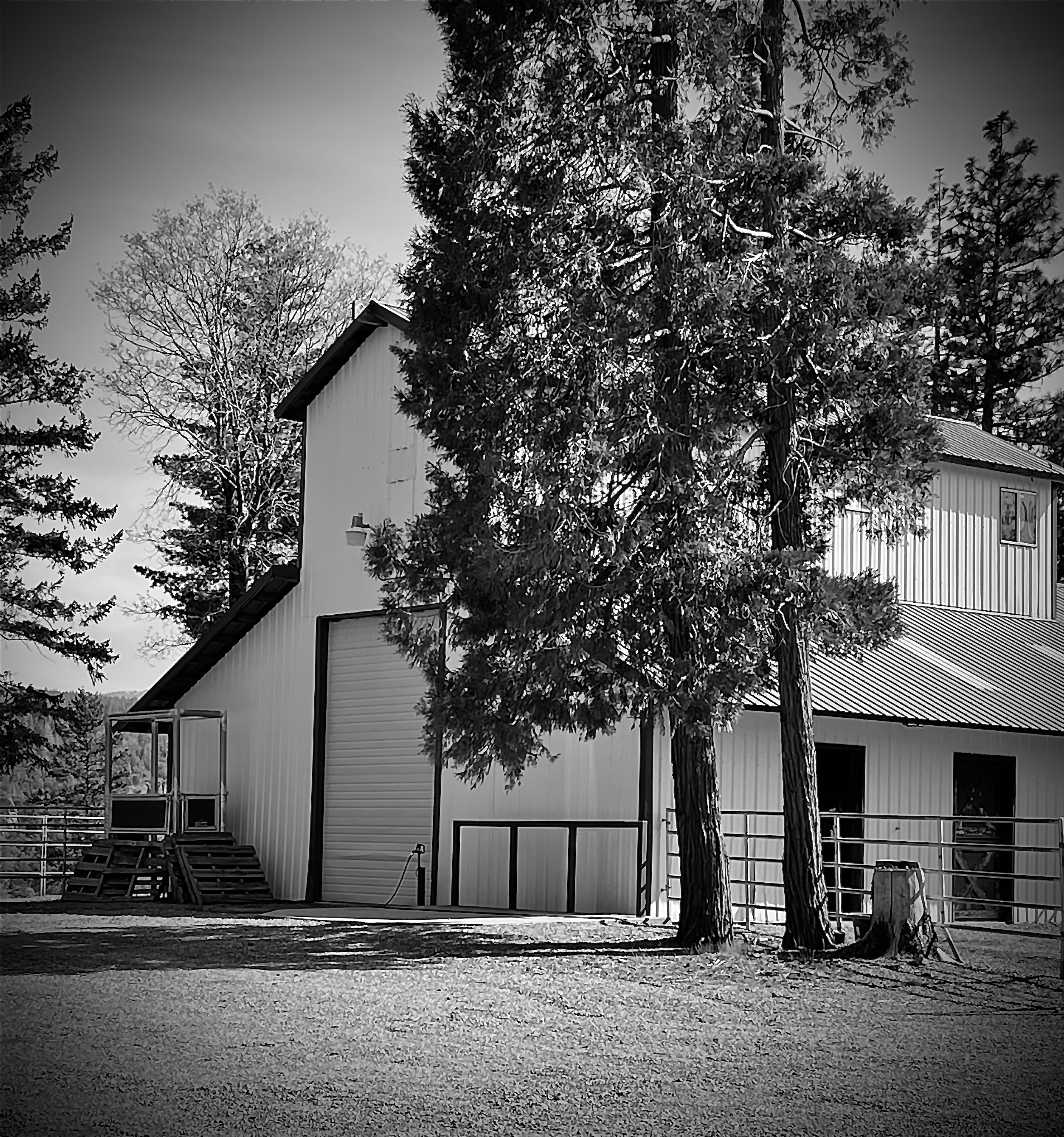 Modern arena and training barn at Lassen Ranch